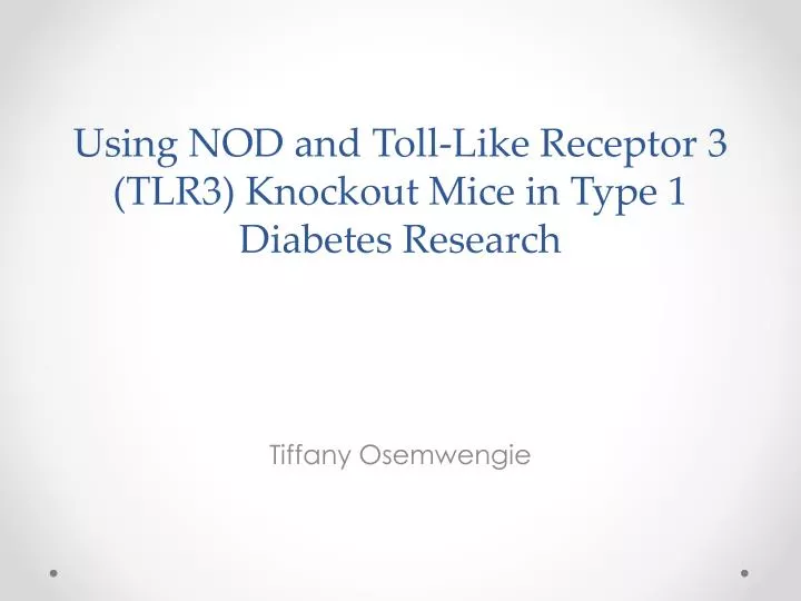 using nod and toll like receptor 3 tlr3 knockout mice in type 1 diabetes research