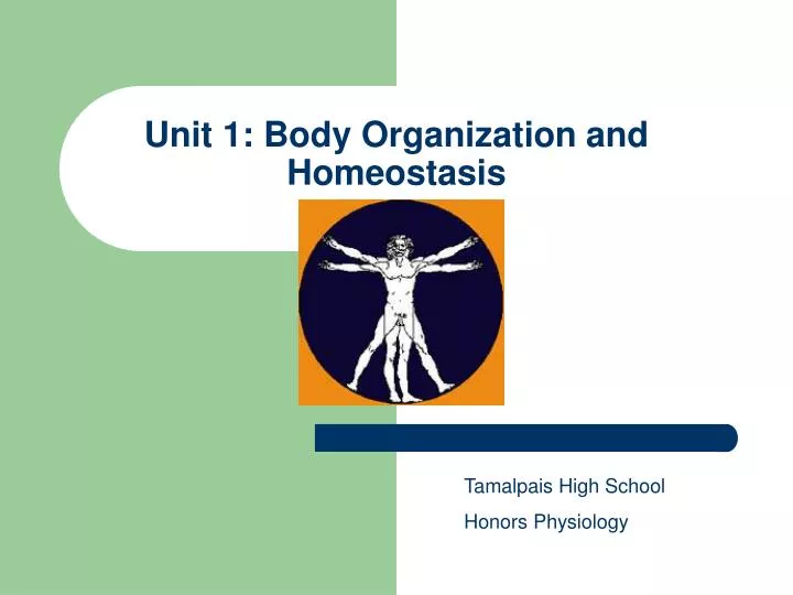unit 1 body organization and homeostasis