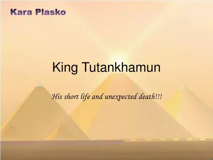 king tutankhamun