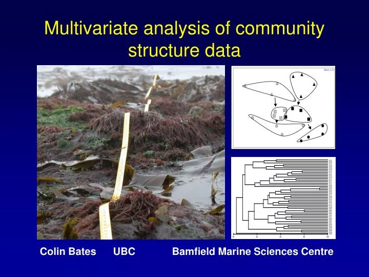 multivariate analysis of community structure data