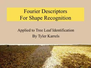 Fourier Descriptors For Shape Recognition