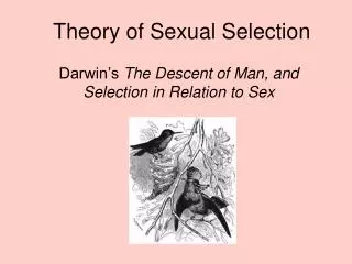 Theory of Sexual Selection