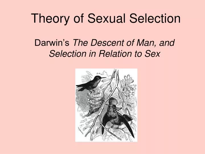 theory of sexual selection