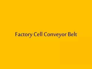 Factory Cell Conveyor Belt