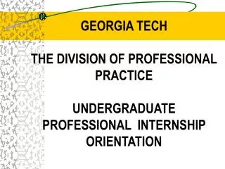 UNDERGRADUATE PROFESSIONAL INTERNSHIP