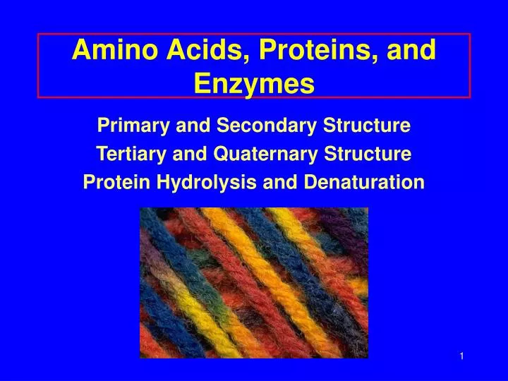 amino acids proteins and enzymes