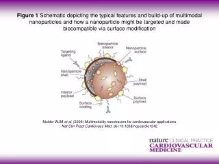 Mulder WJM et al . (2008) Multimodality nanotracers for cardiovascular applications