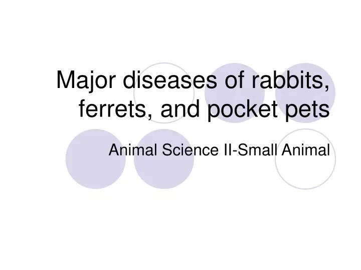 major diseases of rabbits ferrets and pocket pets