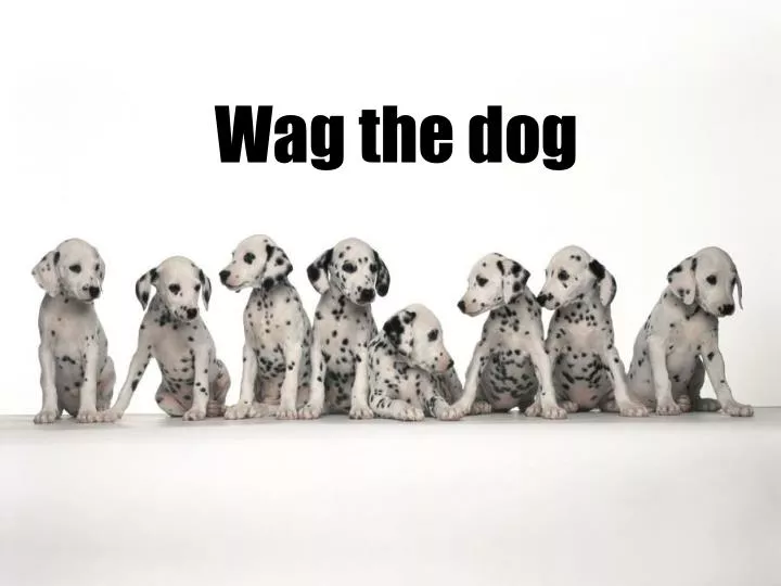 wag the dog