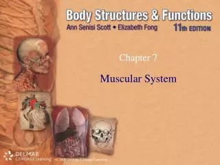 chapter 7