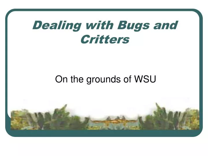 dealing with bugs and critters