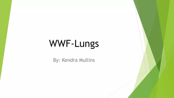 wwf lungs