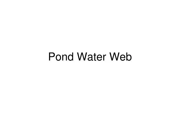 pond water web