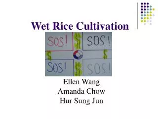 Wet Rice Cultivation