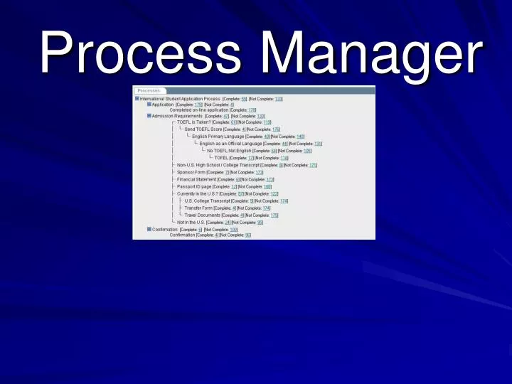 process manager