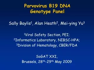 Parvovirus B19 DNA Genotype Panel
