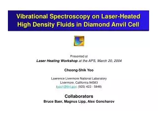 Vibrational Spectroscopy on Laser-Heated High Density Fluids in Diamond Anvil Cell