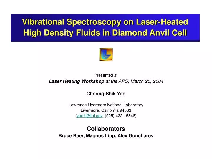 vibrational spectroscopy on laser heated high density fluids in diamond anvil cell