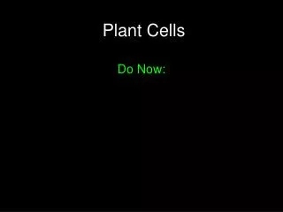 Plant Cells