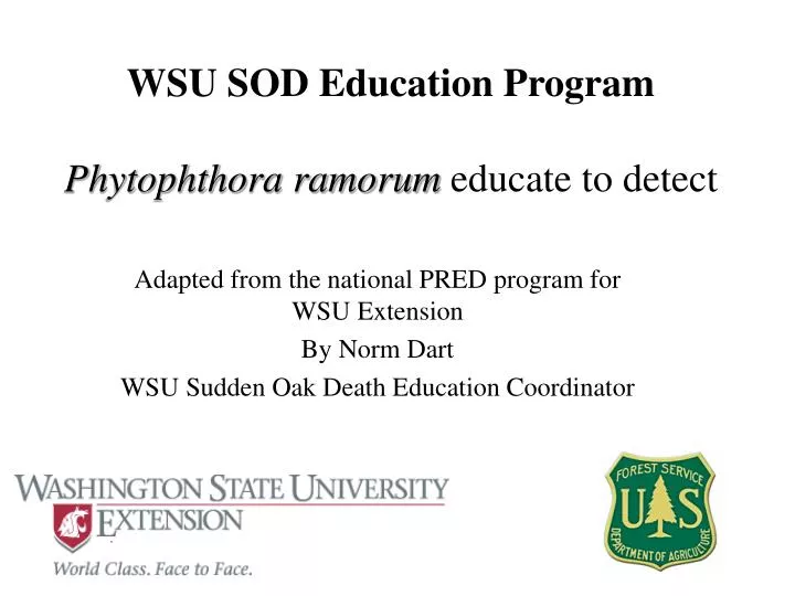 wsu sod education program phytophthora ramorum educate to detect