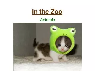 In the Zoo