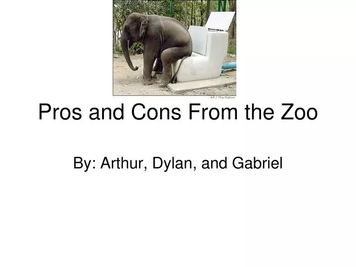pros and cons from the zoo