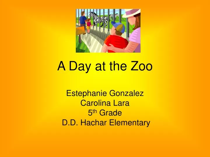 a day at the zoo