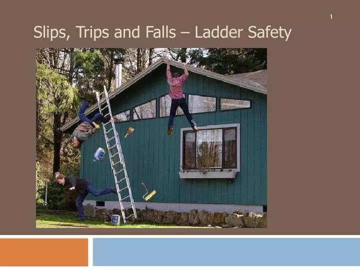 slips trips and falls ladder safety