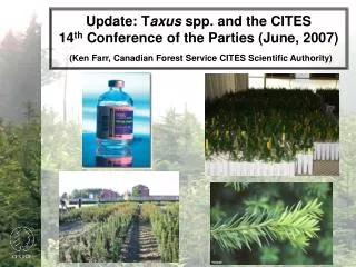 Brief History: CITES and Taxus species