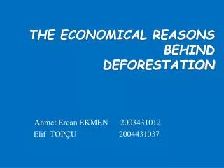 the economical reasons behind deforestation