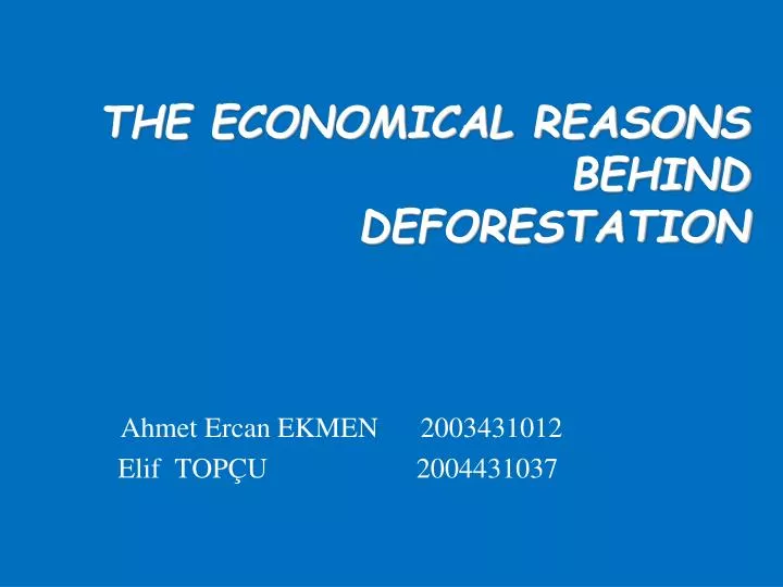 the economical reasons behind deforestation