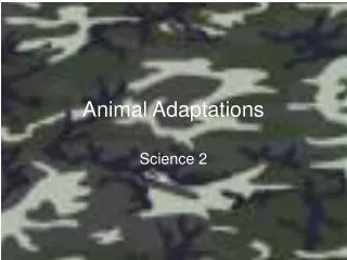 Animal Adaptations