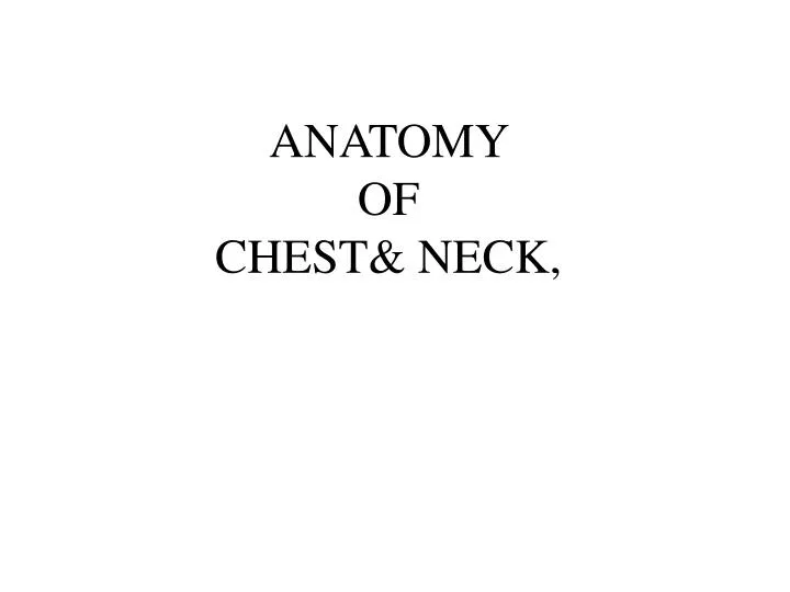 anatomy of chest neck