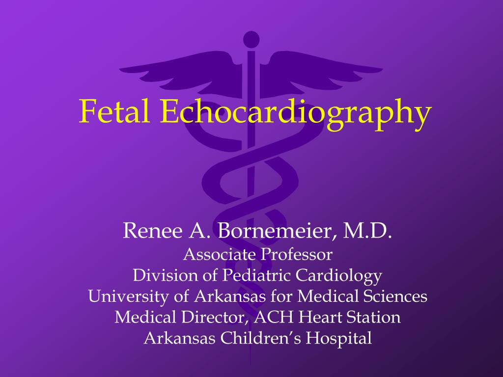 PPT - Fetal Echocardiography PowerPoint Presentation, free download ...