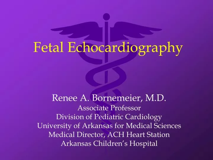 fetal echocardiography