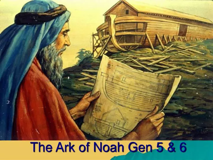 the ark of noah gen 5 6