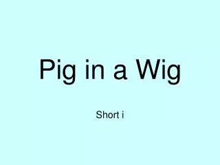 pig in a wig