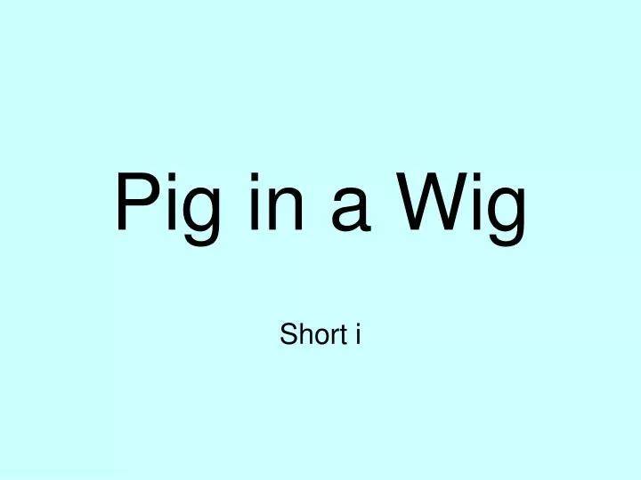 pig in a wig