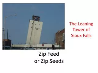 Zip Feed or Zip Seeds