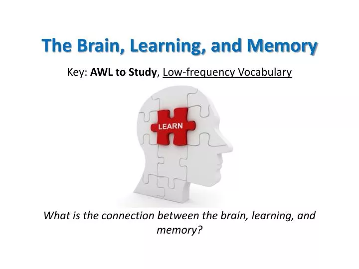 the brain learning and memory