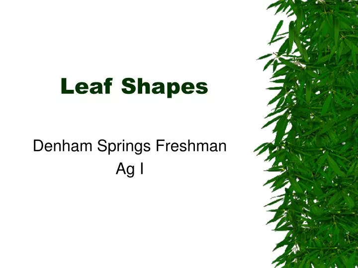 leaf shapes