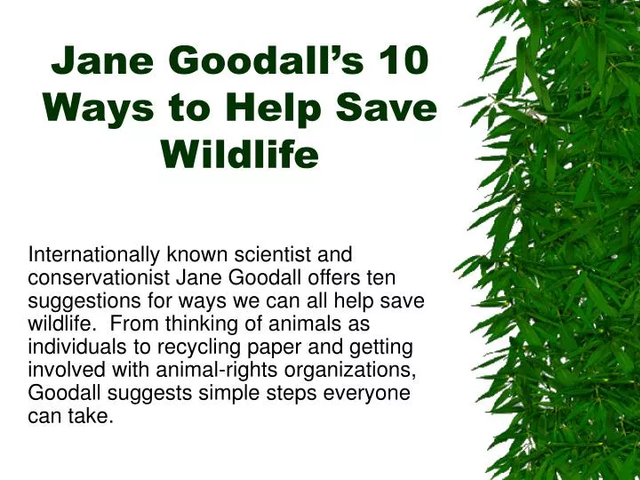 jane goodall s 10 ways to help save wildlife