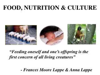 FOOD, NUTRITION &amp; CULTURE