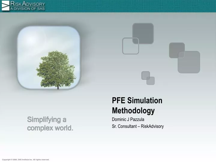 pfe simulation methodology