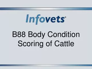 B88 Body Condition Scoring of Cattle