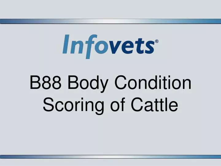 b88 body condition scoring of cattle