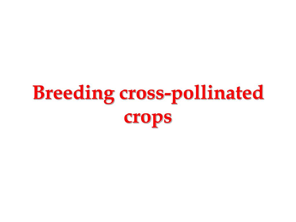 PPT - Breeding cross-pollinated crops PowerPoint Presentation, free ...