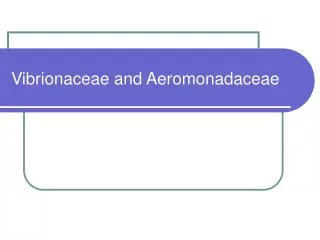 Vibrionaceae and Aeromonadaceae