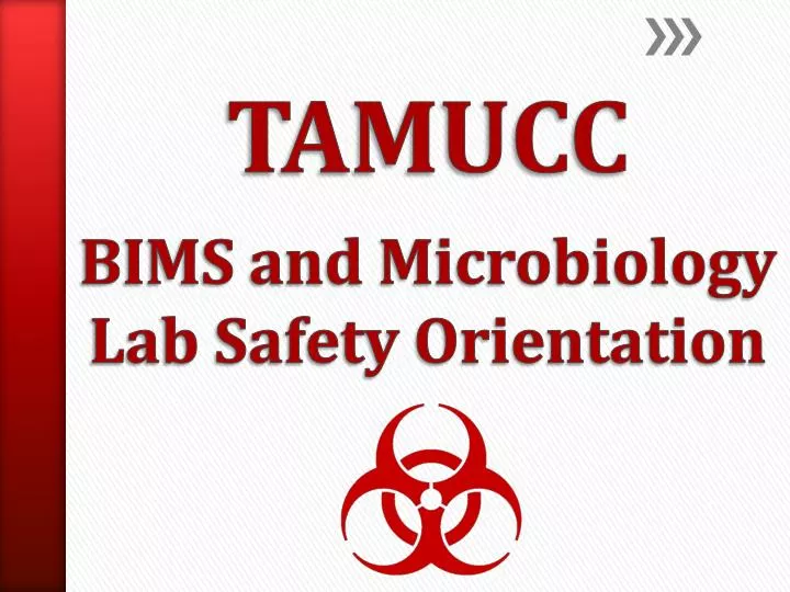 tamucc bims and microbiology lab safety orientation