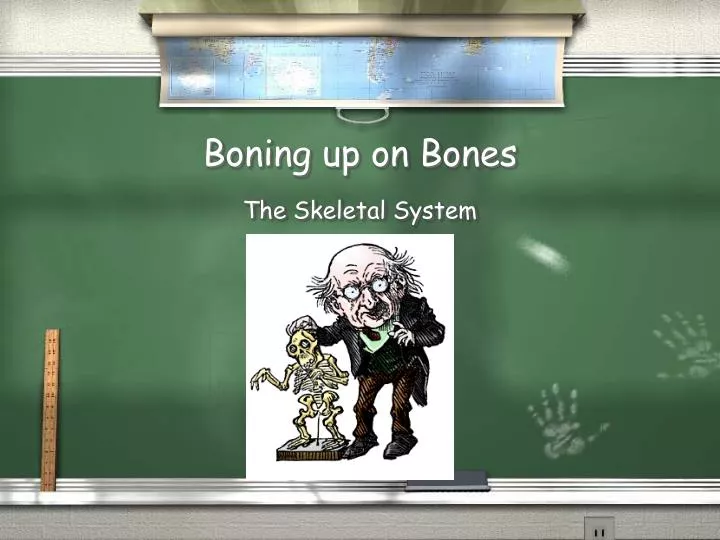 boning up on bones